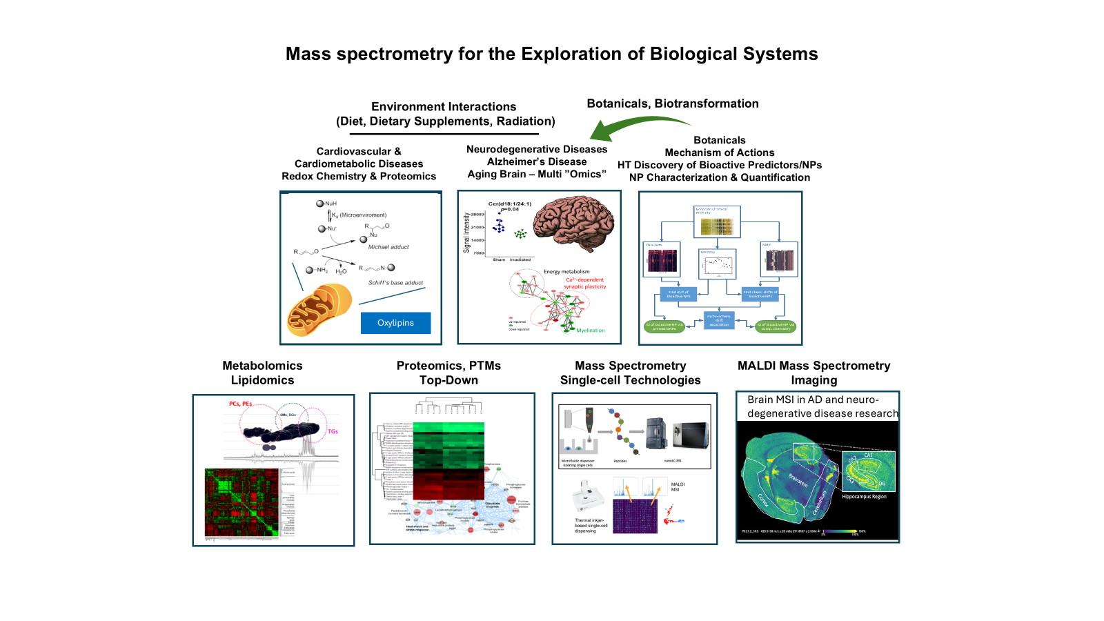 Diagram: Mass spectrometry for the exploration of biological systems, showing research areas including cardiovascular and cardiometabolic disease, neurodegenerative disease, botanicals mechanism of action, metabolomics/lipidomics, proteomics, single-cell technologies, and MALDI mass spectrometry imaging